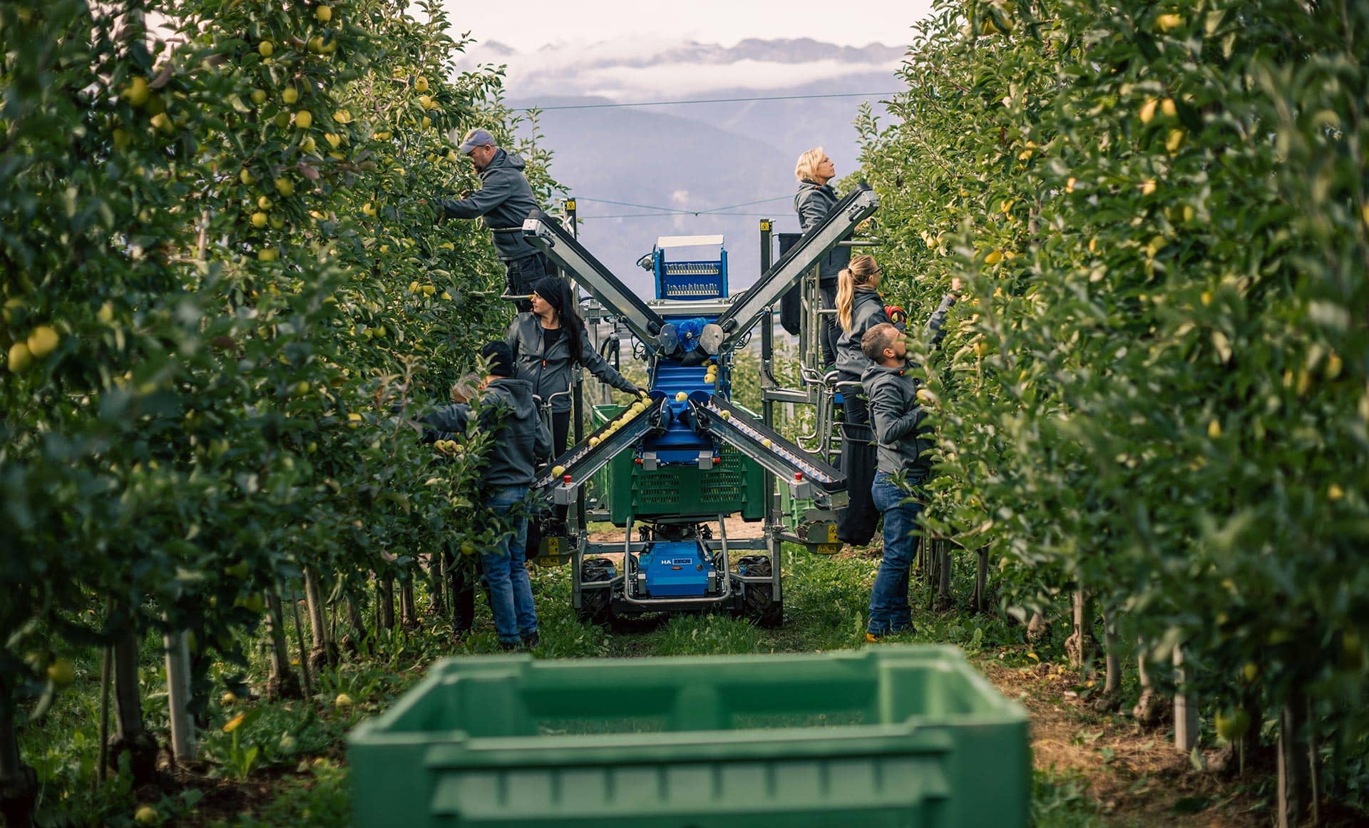 Ha Tech - HT 10 SE - Macchina agricola per la raccolta