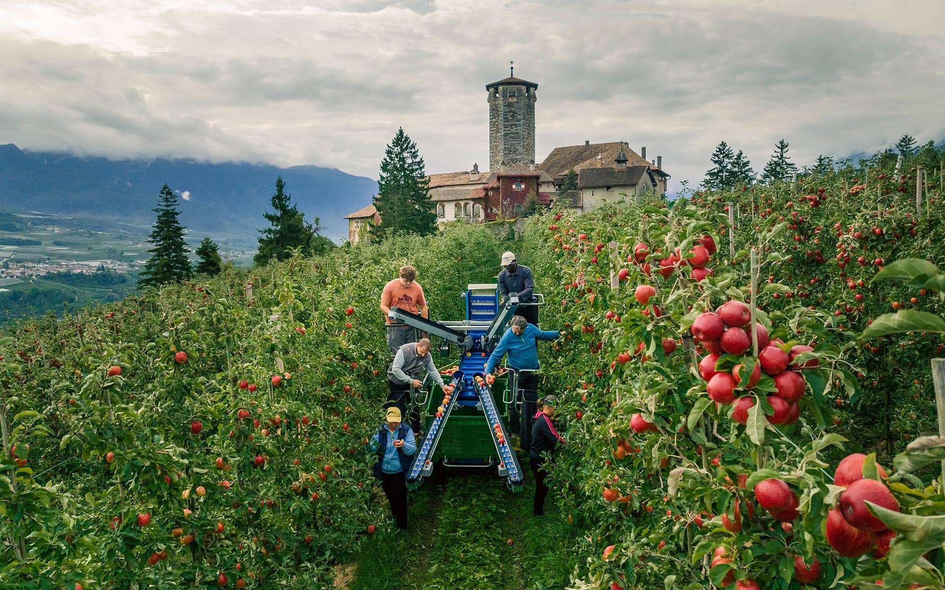 Ha Tech - HT 10 SE - Macchina agricola per la raccolta