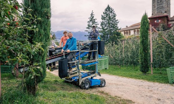 Ha Tech - HT 10 SE - Macchina agricola per la raccolta